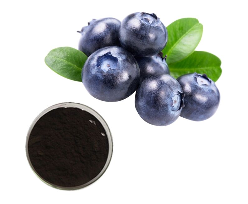 Bilberry Extract at Prostamin Forte