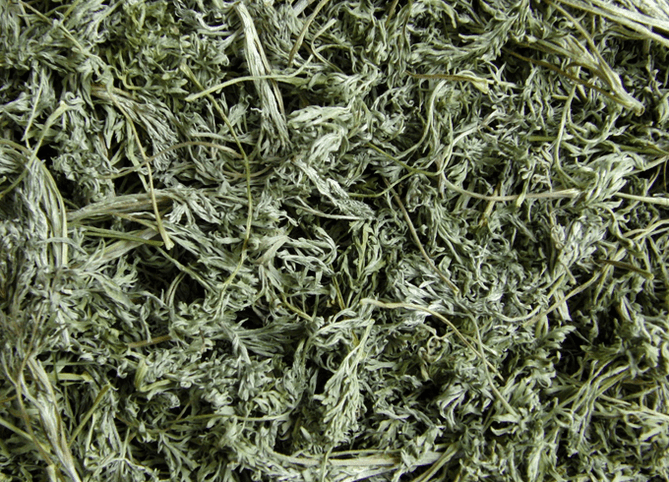 Wormwood relieves inflammation of the genitourinary tract. 