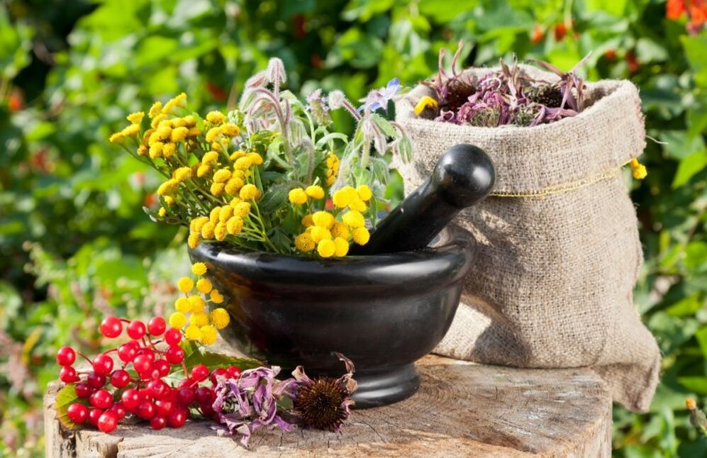 Medicines based on medicinal plants are used in the treatment of prostatitis. 